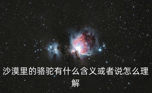 沙漠里的骆驼有什么含义或者说怎么理解