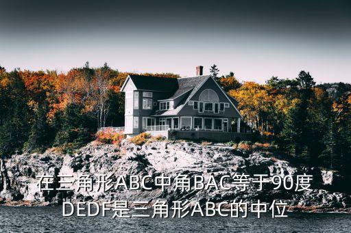 在三角形ABC中角BAC等于90度DEDF是三角形ABC的中位