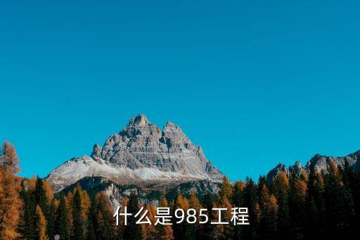  什么是985工程