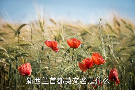  新西兰首都英文名是什么