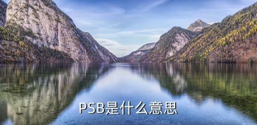 PSB是什么意思