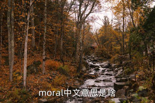 moral中文意思是啥