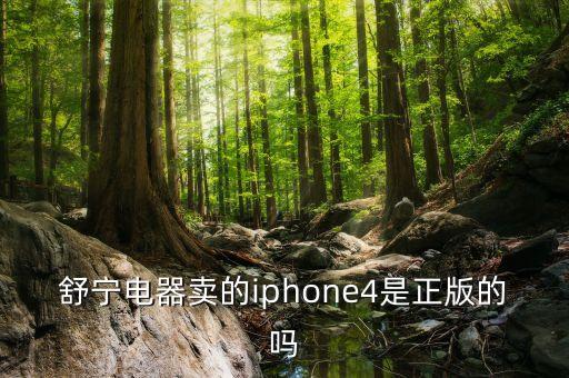 舒宁电器卖的iphone4是正版的吗