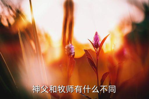 神父和牧师有什么不同