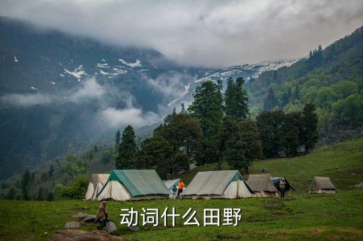 动词什么田野