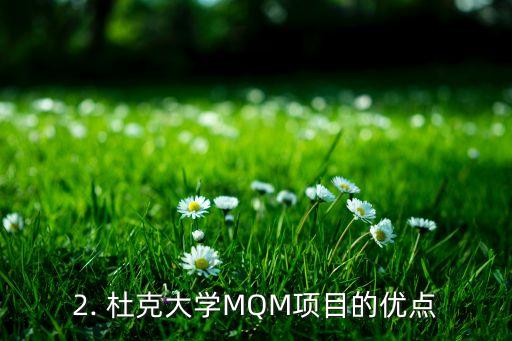 2. 杜克大学MQM项目的优点