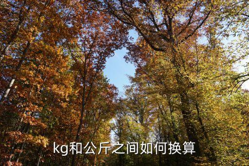 kg和公斤之间如何换算