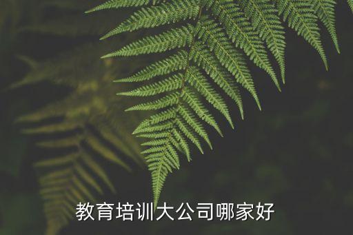 教育培训大公司哪家好