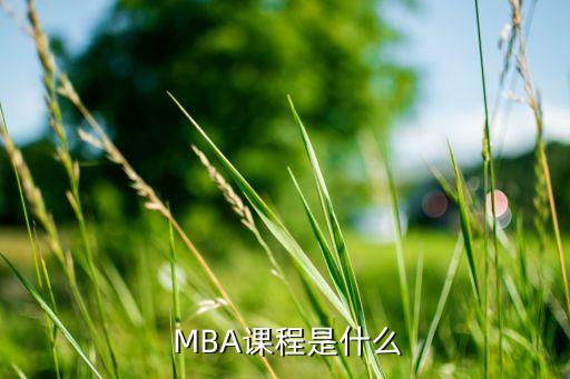  MBA课程是什么