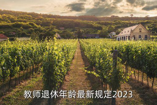 教师退休年龄最新规定2023