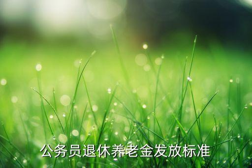 公务员退休养老金发放标准