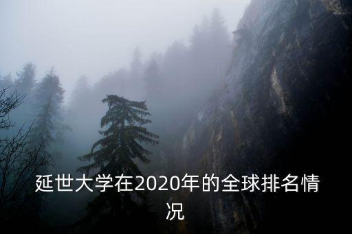  延世大学在2020年的全球排名情况