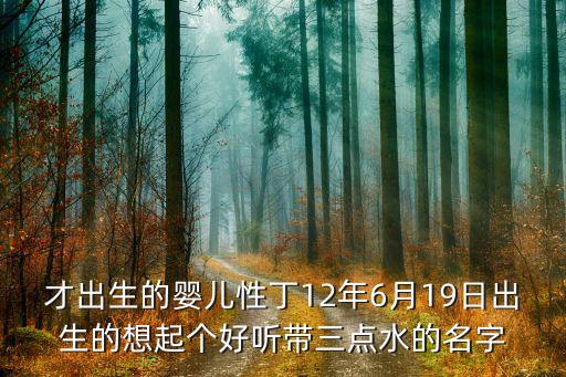 才出生的婴儿性丁12年6月19日出生的想起个好听带三点水的名字