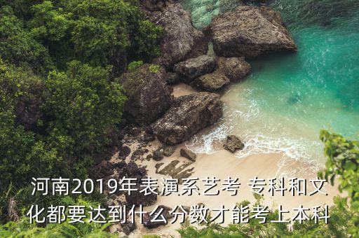 河南2019年表演系艺考 专科和文化都要达到什么分数才能考上本科