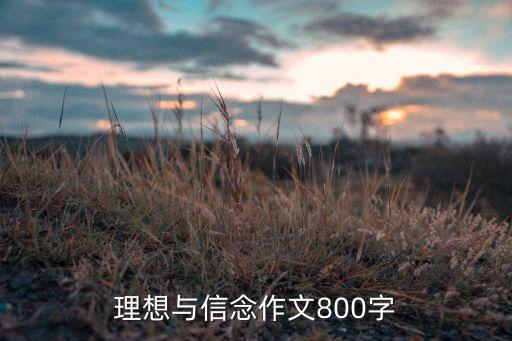 理想与信念作文800字