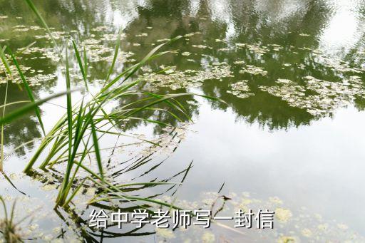 给中学老师写一封信