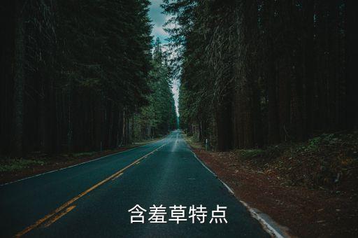 含羞草特点