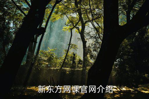  新东方网课官网介绍