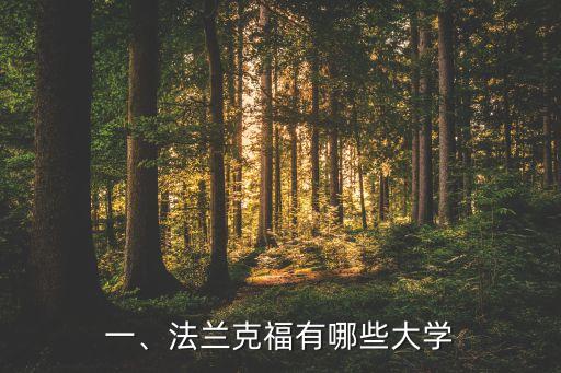 一、法兰克福有哪些大学