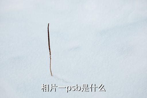 相片一psb是什么