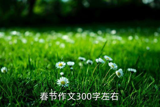 春节作文300字左右