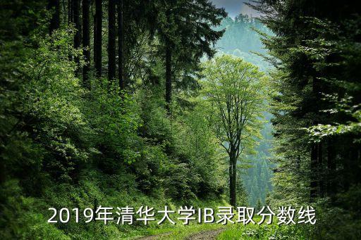  2019年清华大学IB录取分数线