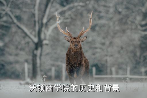  沃顿商学院的历史和背景