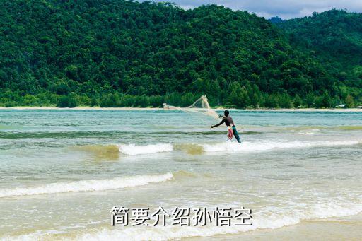 简要介绍孙悟空