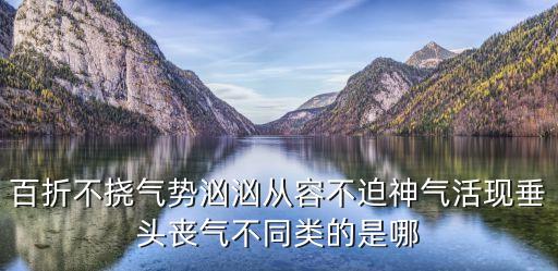 百折不挠气势汹汹从容不迫神气活现垂头丧气不同类的是哪