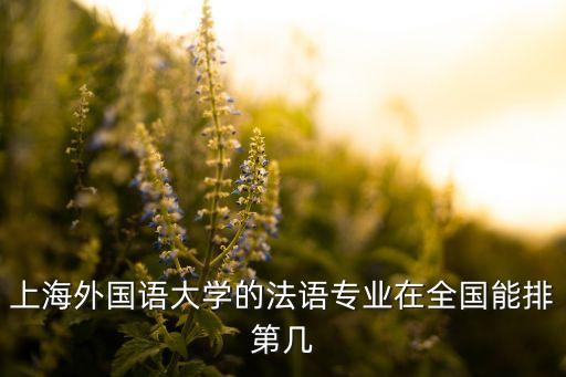 上海外国语大学的法语专业在全国能排第几