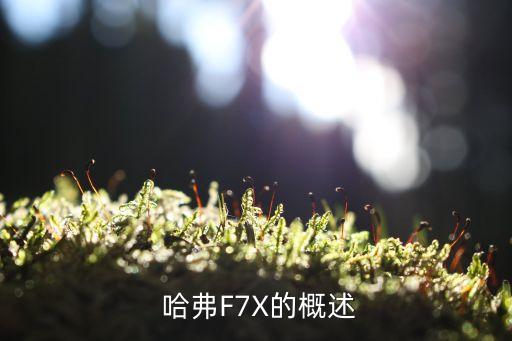  哈弗F7X的概述