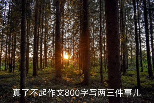 真了不起作文800字写两三件事儿