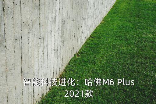  智能科技进化：哈佛M6 Plus 2021款