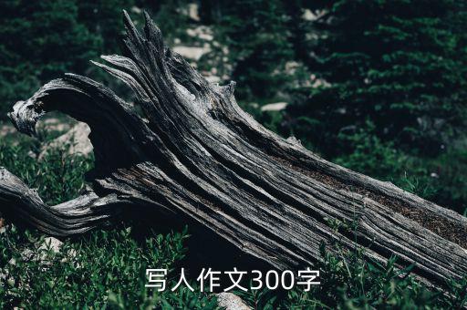 写人作文300字