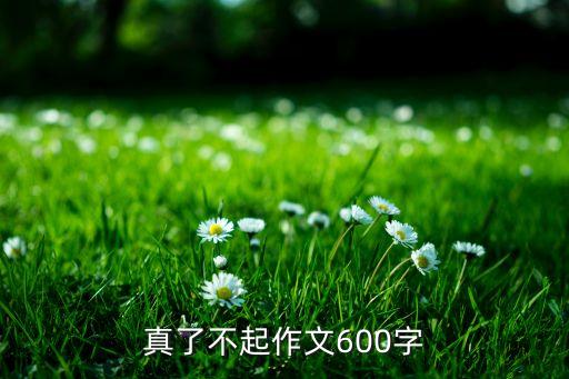 真了不起作文600字