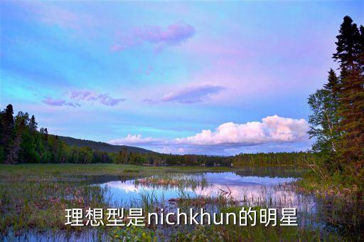 理想型是nichkhun的明星