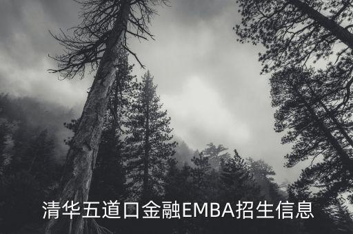  清华五道口金融EMBA招生信息