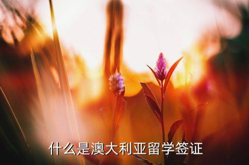  什么是澳大利亚留学签证