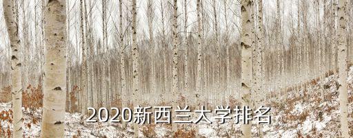  2020新西兰大学排名