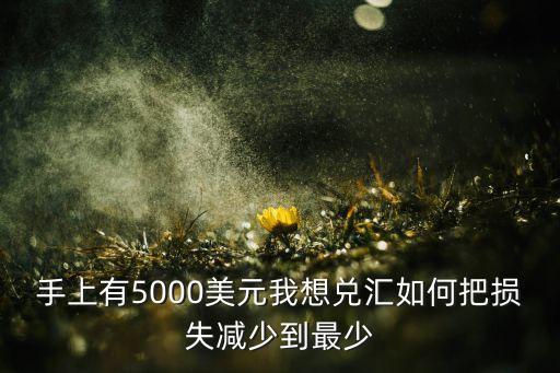 手上有5000美元我想兑汇如何把损失减少到最少