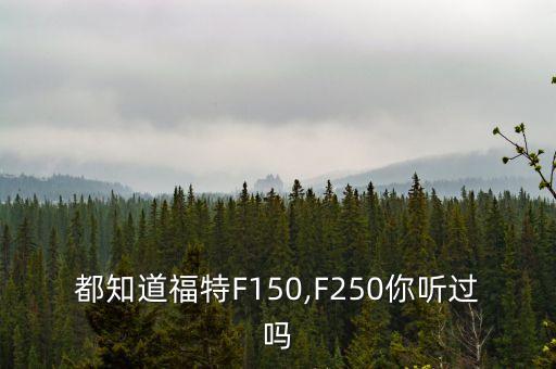 都知道福特F150,F250你听过吗