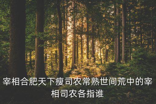 宰相合肥天下瘦司农常熟世间荒中的宰相司农各指谁