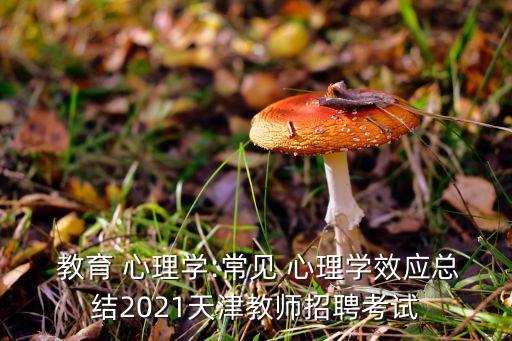  教育 心理学:常见 心理学效应总结2021天津教师招聘考试