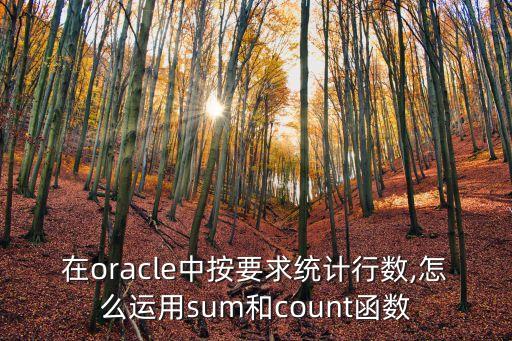 在oracle中按要求统计行数,怎么运用sum和count函数