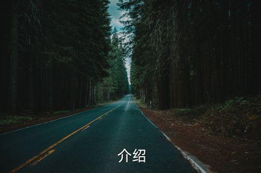  介绍