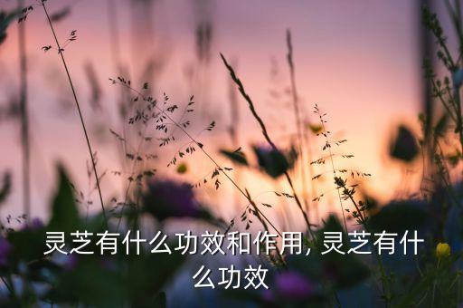  灵芝有什么功效和作用, 灵芝有什么功效