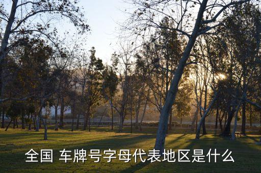 全国 车牌号字母代表地区是什么