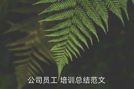 公司员工 培训总结范文