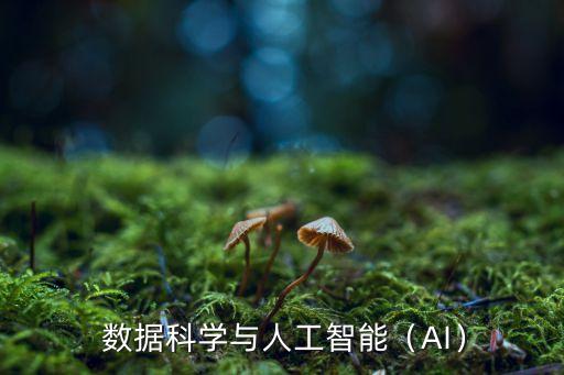  数据科学与人工智能（AI）