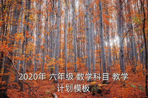 2020年 六年级 数学科目 教学计划模板